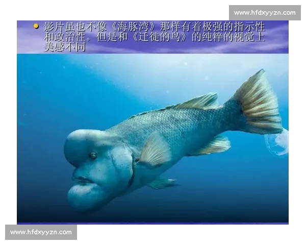 《探索鱼戏比赛的独特魅力:水下竞技与自然生物行为的精彩碰撞》 《探索鱼戏比赛的独特魅力:水下竞技与自然生物行为的精彩碰撞》